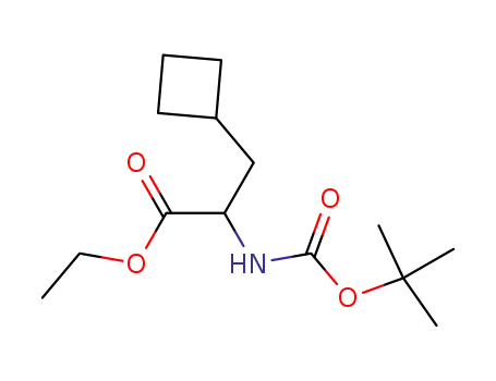 Molecular Structure of 816430-02-1 (Ethyl 2-(tert-butoxycarbonylamino)-3-cyclobutylpropanoate)