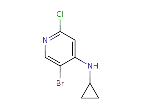 5-bromo-2-chloro-N-cyclopropylpyridin-4-amine