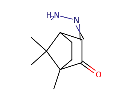 bornane-2,3-dione-3-hydrazone