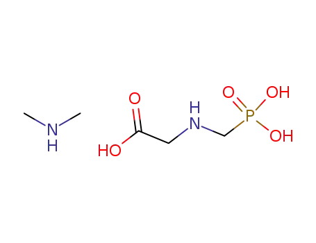 Molecular Structure of 34494-04-7 (N-(phosphonomethyl)glycine - N-methylmethanamine (1:1))