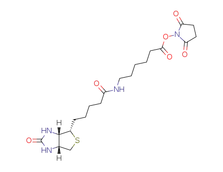 Molecular Structure of 89889-52-1 (BIOTIN-XX-NHS)