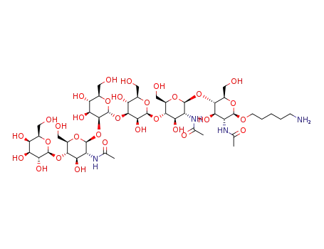 5-aminopentyl β-D-galactopyranosyl-(1→4)-2-acetamido-2-deoxy-β-D-glucopyranosyl-(1→2)-α-D-mannopyranosyl-(1→3)-β-D-mannopyranosyl-(1→4)-2-acetamido-2-deoxy-β-D-glucopyranosyl-(1→4)-2-acetamido-2-deoxy-β-D-glucopyranoside