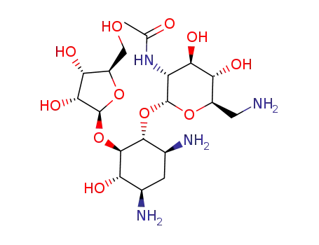 2'-N-acetyl-ribostamycin