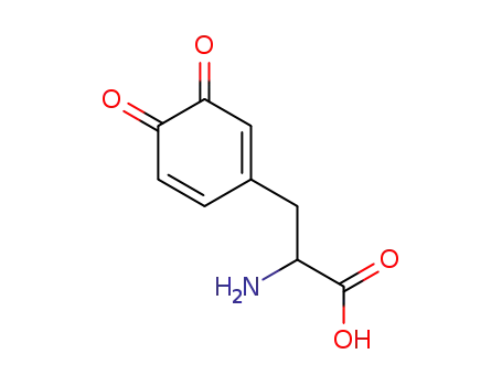 Molecular Structure of 4430-97-1 (2-amino-3-(3,4-dioxo-1-cyclohexa-1,5-dienyl)-propanoic acid)