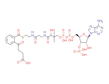 Molecular Structure of 72471-59-1 (2-succinylbenzoyl-coenzyme A)