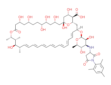 N-(N-2,4,6-trimethylphenylsuccinimidyl)-amphotericin B