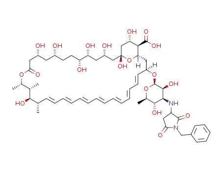 N-(N-benzylsuccinimidyl)-amphotericin B