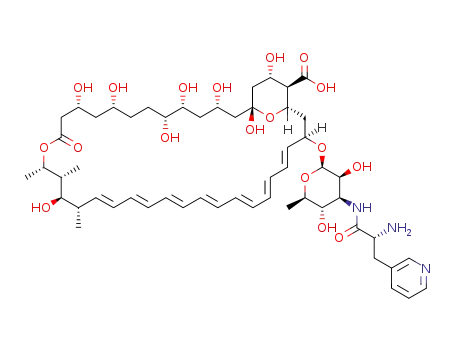 N-[β-(pyridine-1-yl)-D-alanyl]amphotericin B
