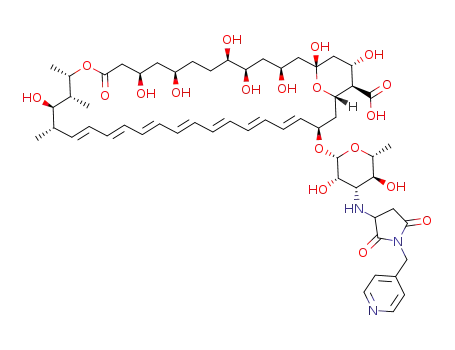 N-{N-[(2-pyridin-4-yl)-methyl]succinimidyl}-amphotericin B