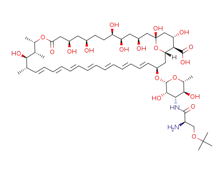 N-(O-tert-butyl-D-seryl)amphotericin B