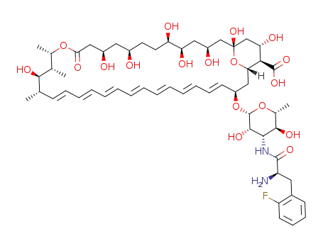 N-(2-fluoro-D-phenylalanyl)amphotericin B