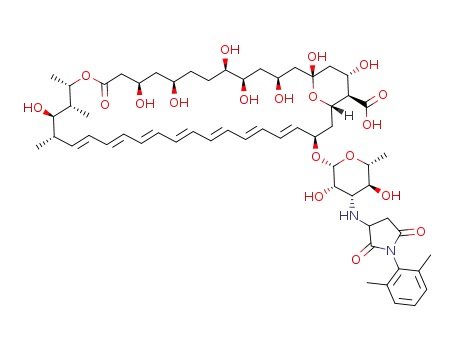 N-(N-2,6-dimethylphenylsuccinimidyl)-amphotericin B