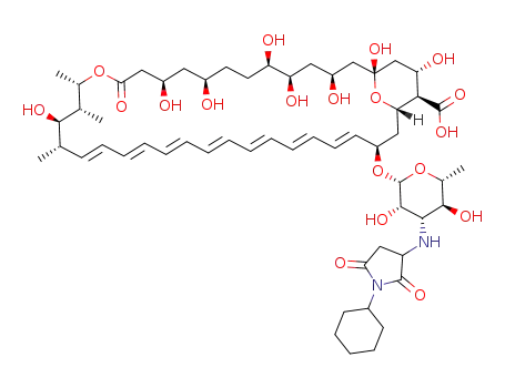 N-(N-cyclohexylsuccinimidyl)-amphotericin B