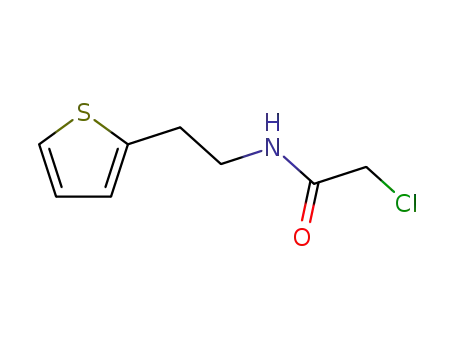 Molecular Structure of 135709-69-2 (Acetamide,2-chloro-N-[2-(2-thienyl)ethyl]-)