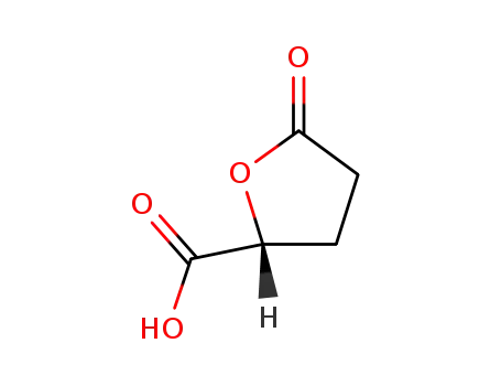 Molecular Structure of 53558-93-3 ((R)-(-)-5-OXOTETRAHYDROFURAN-2-CARBOXYLIC ACID)