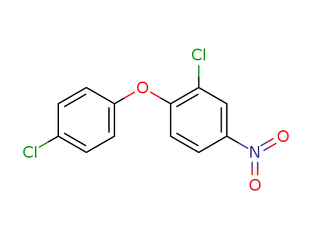 Molecular Structure of 22544-07-6 (2,4'-DICHLORO-4-NITRODIPHENYL ETHER)