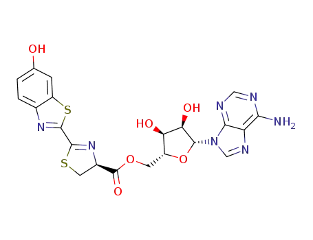 D-luciferyl adenylate