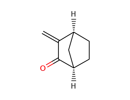 3-methylene-2-norbornanone