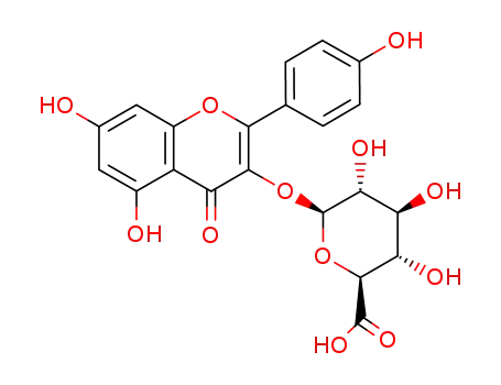 Molecular Structure of 22688-78-4 (KAEMPFEROL-3-GLUCURONIDE)