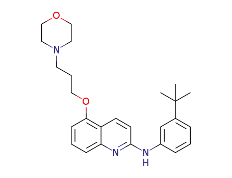 N-(3-(tert-butyl)phenyl)-5-(3-morpholinopropoxy)quinolin-2-amine