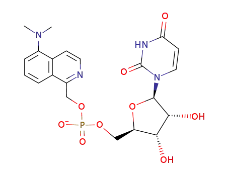 uridine 5'-(5-dimethylaminoisoquinolin-1-yl)methylphosphate