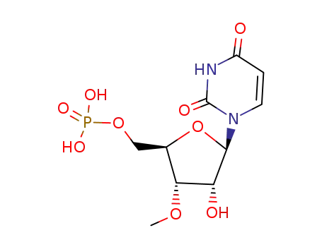 3'-O-methyluridine 5'-monophosphate