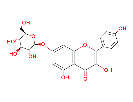Kaempferol 7-O-glucoside