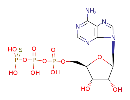 adenosine-5'-O-(3-thiotriphosphate)