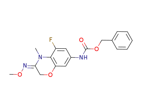 (5-fluoro-3-methoxyimino-4-methyl-3,4-dihydro-2H-benzo[1,4]oxazin-7-yl)-carbamic acid benzyl ester