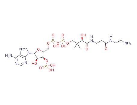 amino-coenzyme A