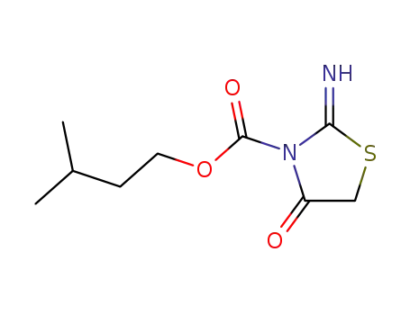 2-imino-4-oxo-thiazolidine-3-carboxylic acid isopentyl ester