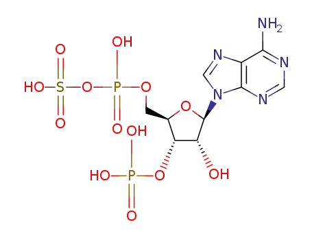 Molecular Structure of 482-67-7 (6-amino-9-[3-hydroxy-5-[(hydroxy-sulfooxy-phosphoryl)oxymethyl]-4-phosphonooxy-oxolan-2-yl]-purine)