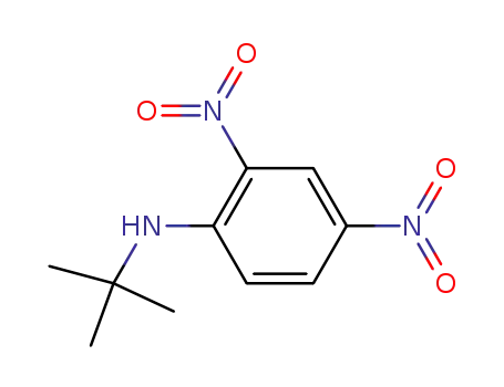 Molecular Structure of 13059-89-7 (N-tert-butyl-2,4-dinitroaniline)