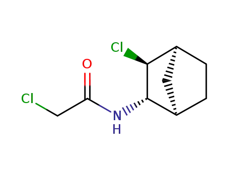 2-Chloro-N-((1R,2S,3S,4S)-3-chloro-bicyclo[2.2.1]hept-2-yl)-acetamide