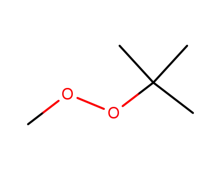 methyl tert-butyl peroxide