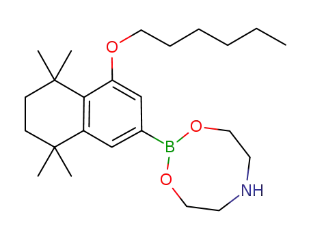 2-(4-hexyloxy-5,5,8,8-tetramethyl-5,6,7,8-tetrahydronaphthalen-2-yl)-1,3,6,2-dioxazaborocane