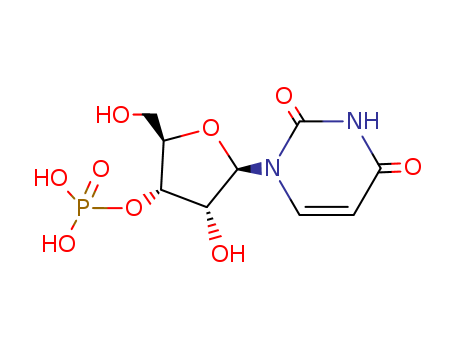 84-53-7,URIDYLIC ACID,3'-UMP; Uridine3'-(dihydrogen phosphate); Uridine 3'-monophosphate; Uridine 3'-phosphate;Uridine 3'-phosphoric acid