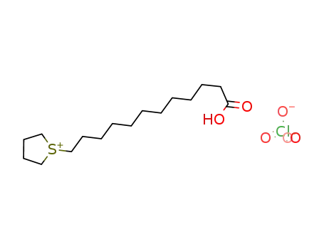 1-(11-Carboxy-undecyl)-tetrahydro-thiophenium; perchlorate