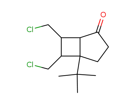 5-tert-butyl-6,7-bis(chloromethyl)bicyclo[3.2.0]heptan-2-one
