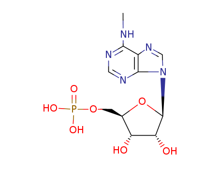 5'-Adenylic acid, N-methyl-