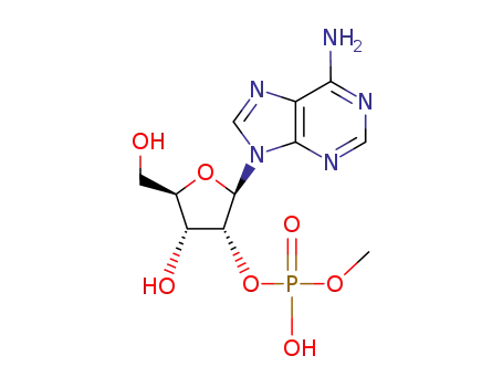 monomethyl adenosine 2'-monophosphate