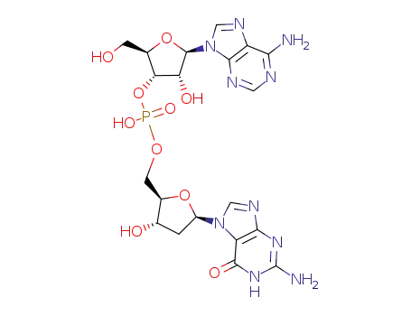 adenylyl-(3'-5')-2-deoxyguanosine