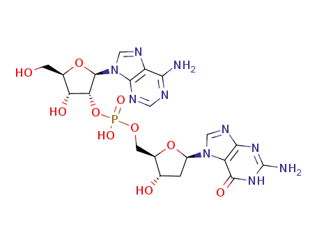 adenylyl-(2'-5')-2'-deoxyguanosine