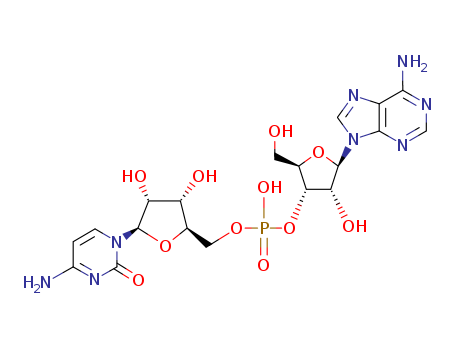Adenylyl cytidine