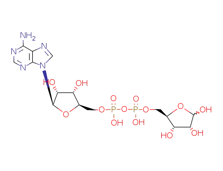 adenosine 5′-diphosphate ribose