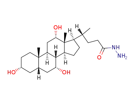 Molecular Structure of 80948-49-8 ((3alpha,5beta,7alpha,12alpha)-3,7,12-trihydroxycholane-24-hydrazide)
