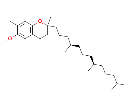 α-tocopheroxyl radical