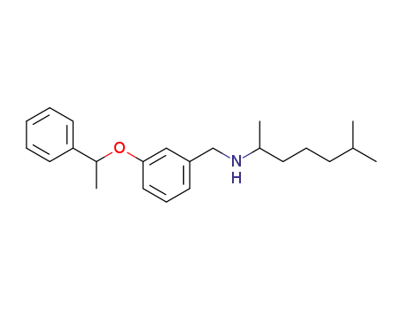 (±)-6-methyl-N-(3-(1-phenylethoxy)benzyl)heptan-2-amine