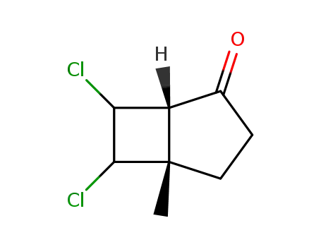 6,7-dichloro-5-methylbicyclo[3.2.0]heptan-2-one