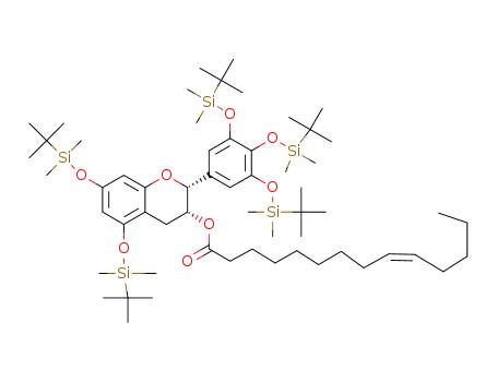 tetradec-9-enoic acid 5,7-bis-(tert-butyl-dimethyl-silanyloxy)-2-[3,4,5-tris-(tert-butyl-dimethyl-silanyloxy)-phenyl]-chroman-3-yl ester